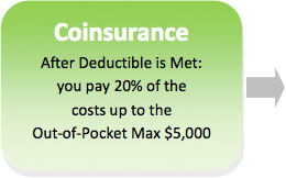 appendix-a-coinsurance