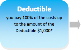 appendix-a-deductible