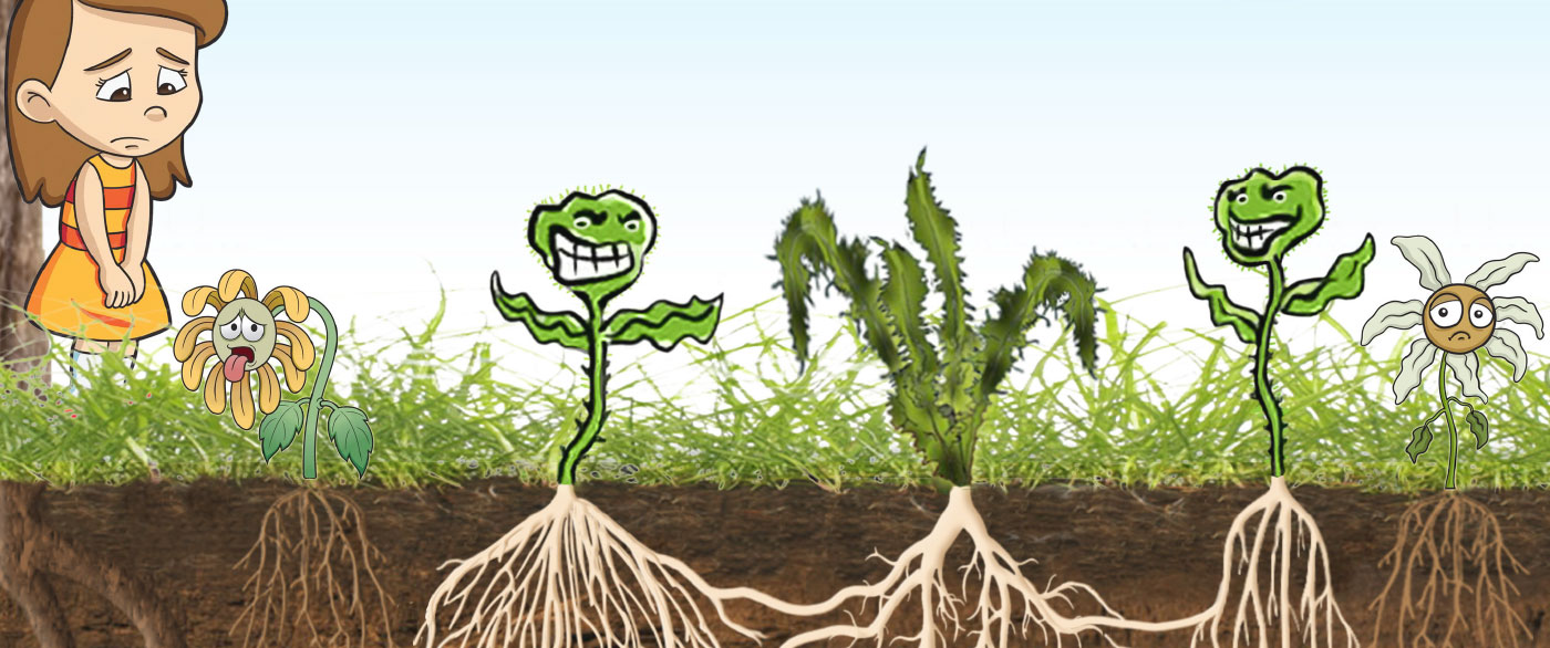 varicose veins and venous insufficiency